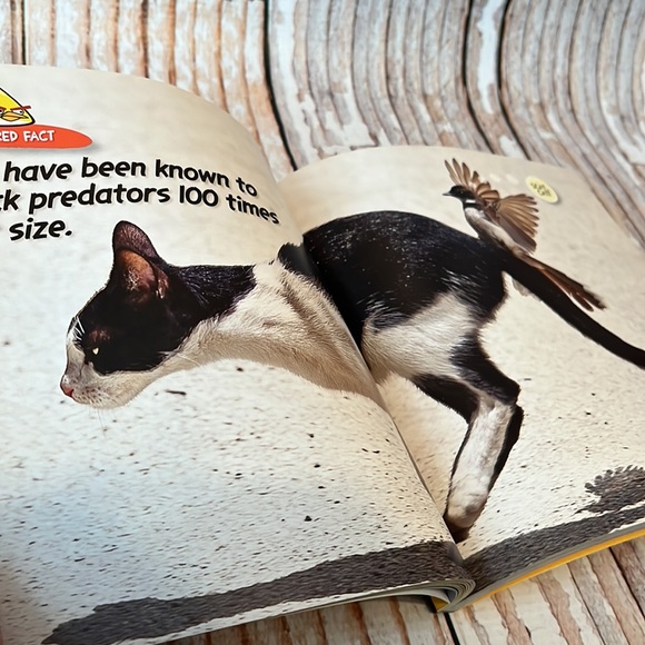 National Geographic: Angry Birds - Picture 6 of 8